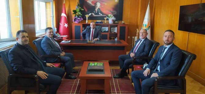 Başkan Kacır, Ilıca Domatesi Seralarını Gezdi