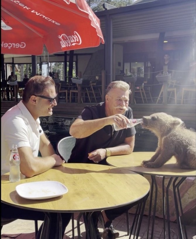 Nuri Alço’dan Yavru Ayıya Gazoz