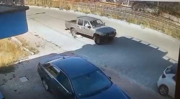 Resmi Plakalı Araçla Sokak Köpeğini Ezen İki Memur Görevden Uzaklaştırıldı
