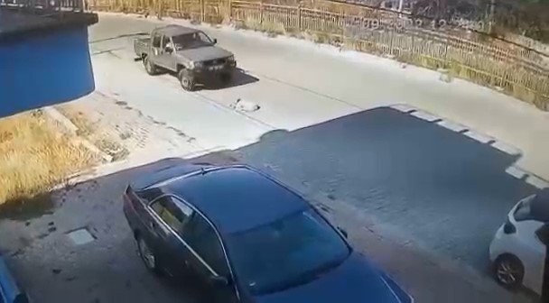 Resmi Plakalı Araçla Sokak Köpeğini Ezen İki Memur Görevden Uzaklaştırıldı