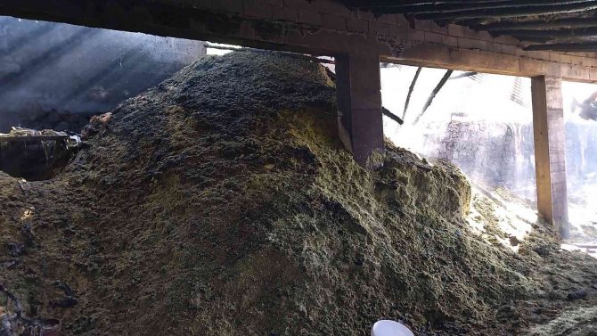Muradiye’de 50 Ton Saman Kül Oldu