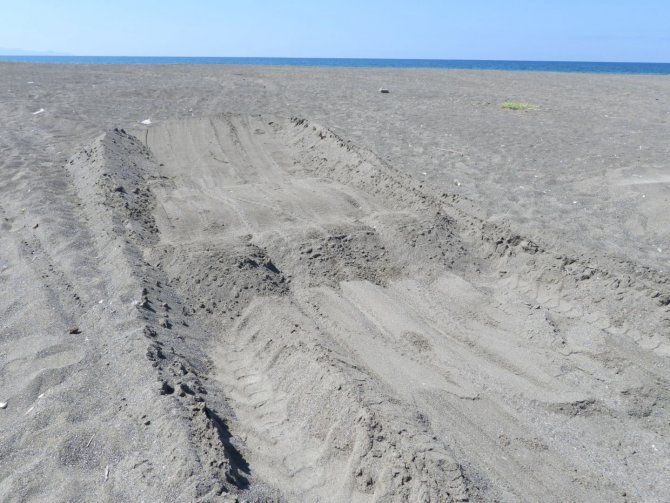 Samandağ Sahilinde Kum Çalınıyor