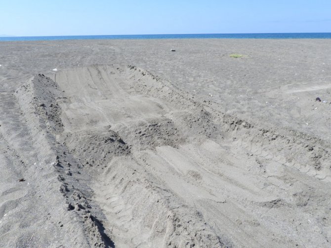 Samandağ Sahilinde Kum Çalınıyor