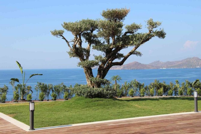 Pandemi Ve Enerji Krizi Sonrası Türkiye Emlak Sektöründe Gözde Ülke Oldu