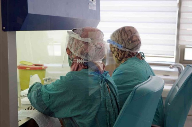 Korona Virüsle İlgili Çarpıcı Araştırma: ’Sigara İçenler Daha Korumasız’