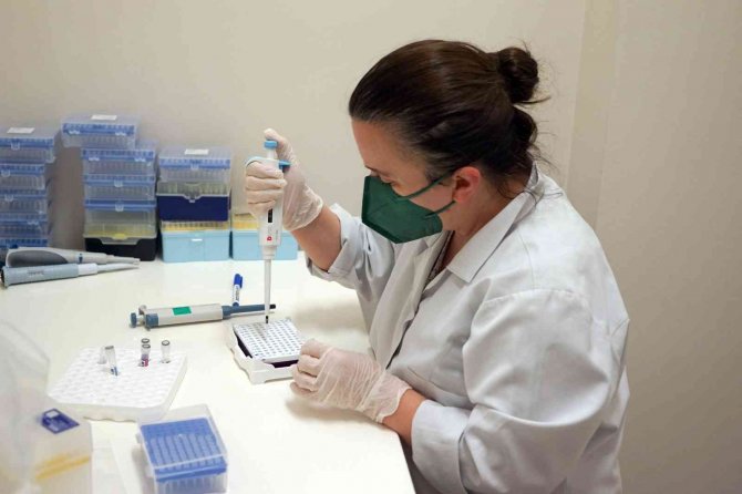 Korona Virüsle İlgili Çarpıcı Araştırma: ’Sigara İçenler Daha Korumasız’