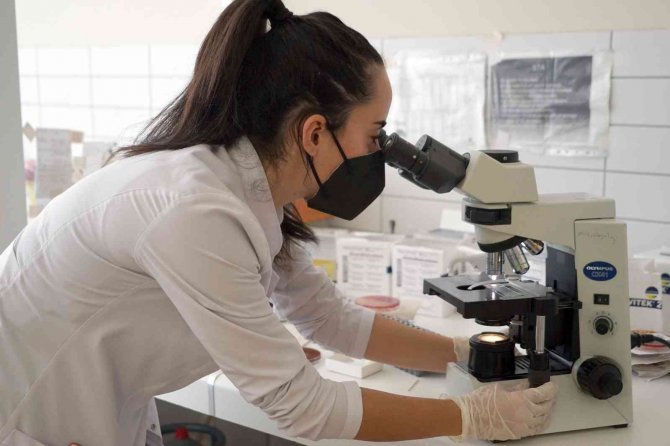 Korona Virüsle İlgili Çarpıcı Araştırma: ’Sigara İçenler Daha Korumasız’