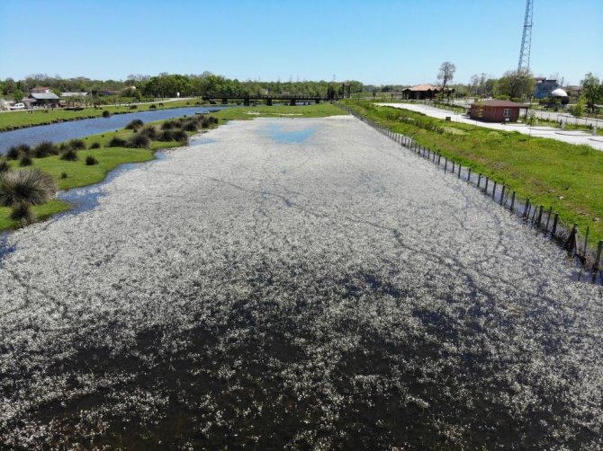 Kuş Cenneti’nin Güzelliğine Havadan Bakış