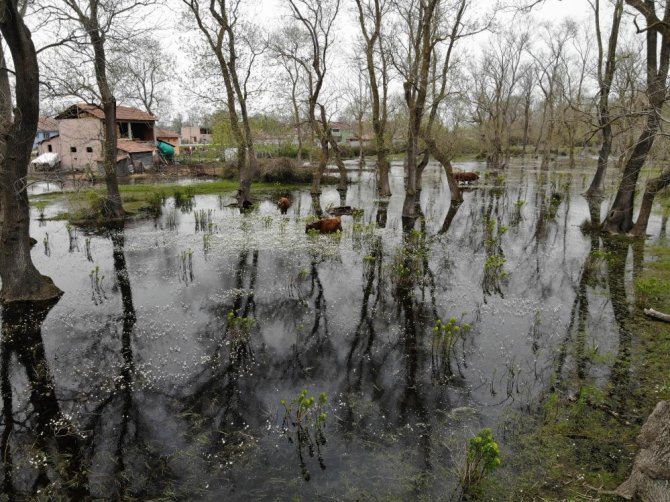 Kuş Cenneti’nin Güzelliğine Havadan Bakış