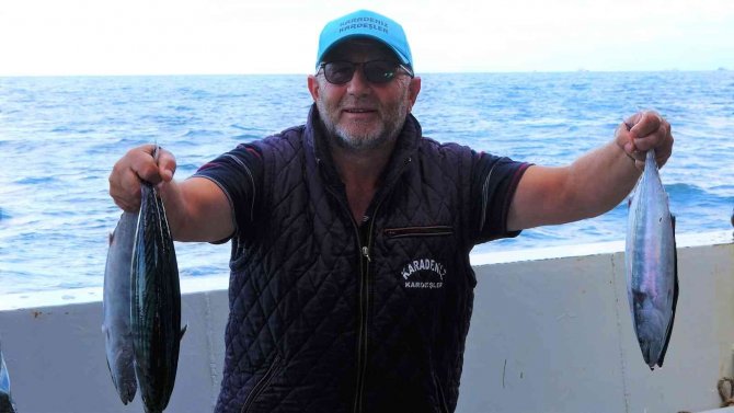 Ordulu Balıkçıların Yüzü Palamut İle Gülüyor