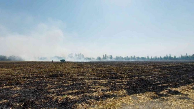 Sumbas’ta Çıkan Anız Yangını Söndürüldü