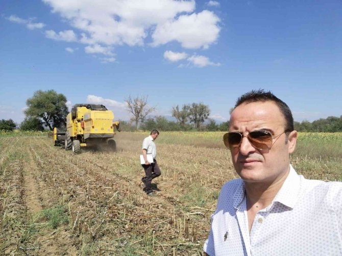 Simav’da Yağlık Ayçiçeği Projesinde Hasat Dönemi Başladı