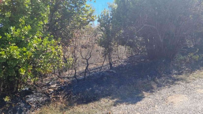 Sinop’ta Kuru Otları Tutuşturan Vatandaş Az Daha Köyü Yakıyordu