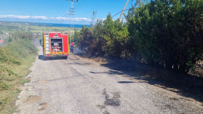 Sinop’ta Kuru Otları Tutuşturan Vatandaş Az Daha Köyü Yakıyordu