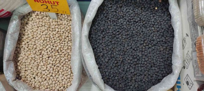 Tohumunu Yurt Dışından Getirdi, Büyük Talep Görüyor