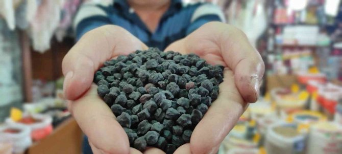 Tohumunu Yurt Dışından Getirdi, Büyük Talep Görüyor