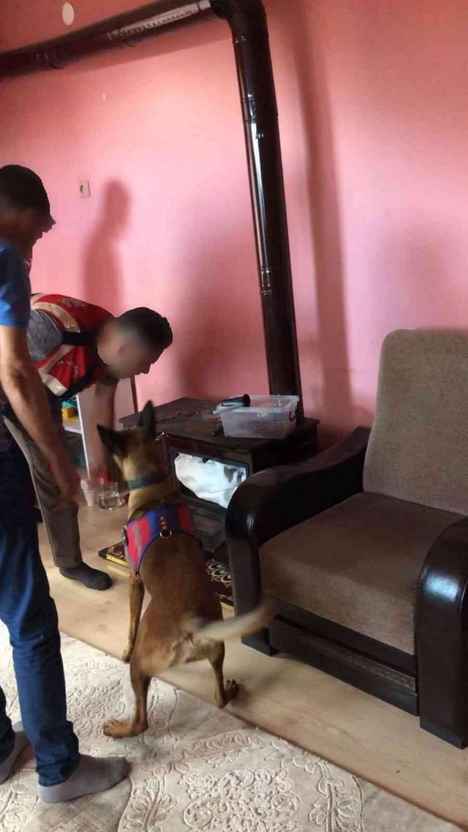 Sobaya Saklanan Uyuşturucuyu ‘Yatkın’ Buldu