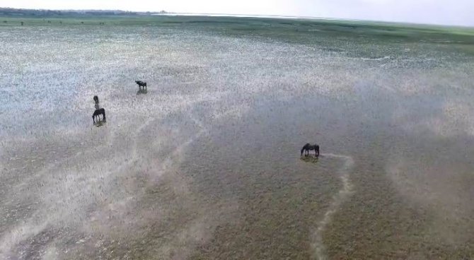 Kuş Cenneti’nin Güzelliğine Havadan Bakış