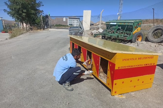 İ̇pekyolu Belediyesi Sokak Hayvanlarına Kulübe Tasarlıyor