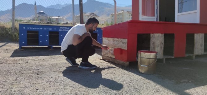 İ̇pekyolu Belediyesi Sokak Hayvanlarına Kulübe Tasarlıyor