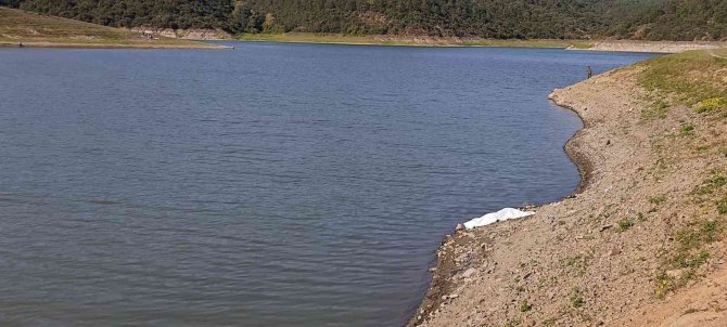 Alibeyköy Barajı’nda Feci Olay: Arkadaşını Kurtardı, Kendisi Hayatını Kaybetti