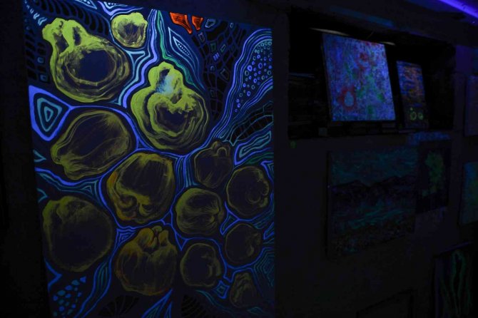 Azerbaycan’daki İlk Neon Sanatları Müzesi “Farhouse” Görenleri Hayran Bıraktı