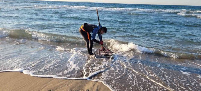 Bursa’nın Sahillerindeki Midye Avcıları