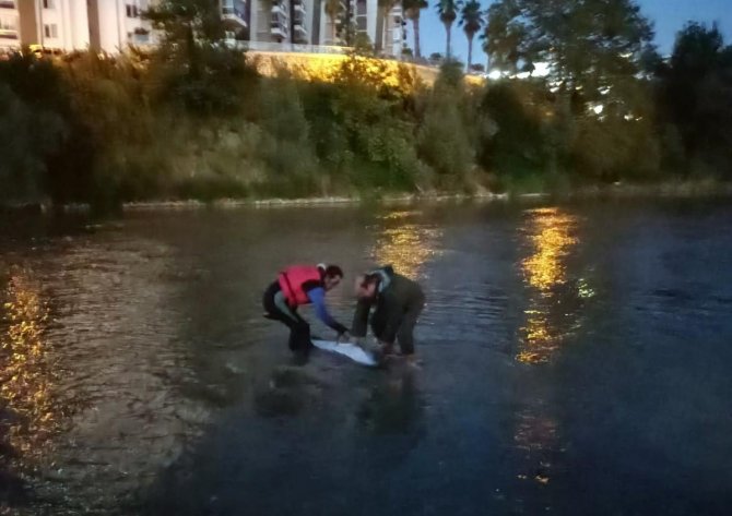 İ̇tfaiye Ve Sahil Güvenlikten Yunus Kurtarma Operasyonu