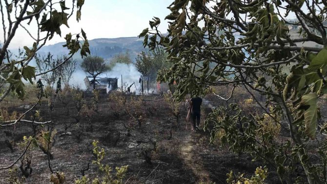 Barakada Başlayan Yangın Ağaçlık Alana Yayıldı