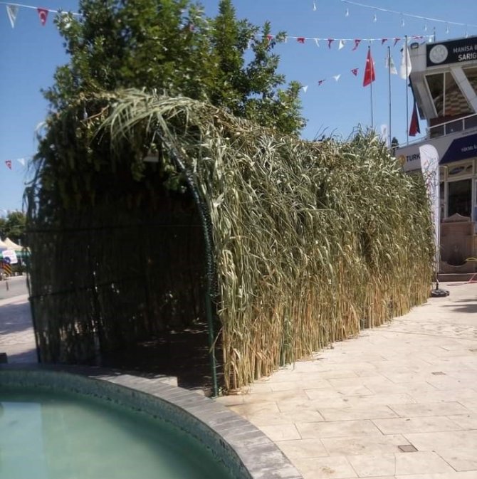 Sarıgöl’deki ’Üzüm Tüneli’ İlgi Odağı Oldu