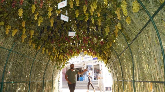 Sarıgöl’deki ’Üzüm Tüneli’ İlgi Odağı Oldu