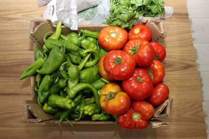 Öğrencilerin Üretimini Yaptığı Tohumlar Mahsule Dönüşüyor