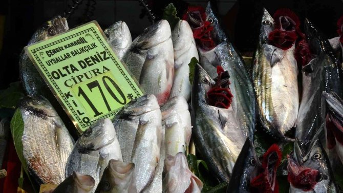 Çanakkale’de Palamudun Tanesi 50 Liraya Düştü