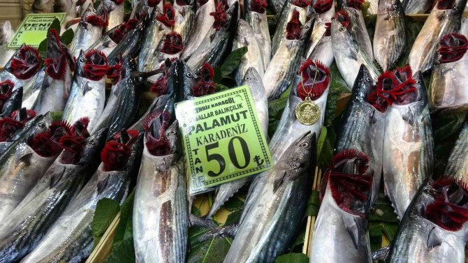 Çanakkale’de Palamudun Tanesi 50 Liraya Düştü