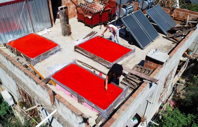 Adana’da Salça Sezonu Başladı, Damlar Kırmızıya Boyandı