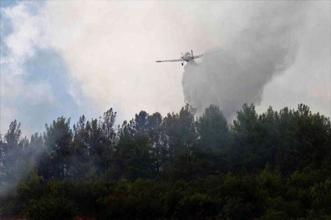 Alanya’daki Orman Yangını Kontrol Altına Alındı