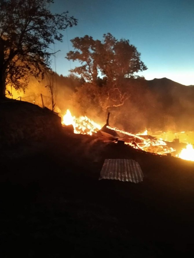 Artvin’de Çıkan Yangında 3 Ev Yandı, 14 Büyükbaş Hayvan Telef Oldu