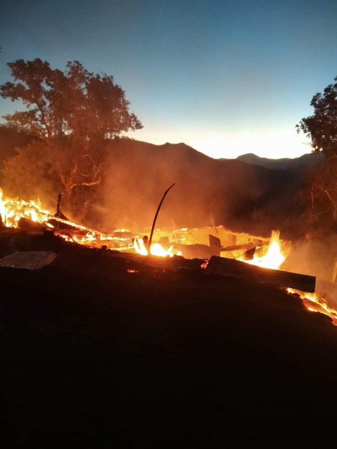 Artvin’de Çıkan Yangında 3 Ev Yandı, 14 Büyükbaş Hayvan Telef Oldu