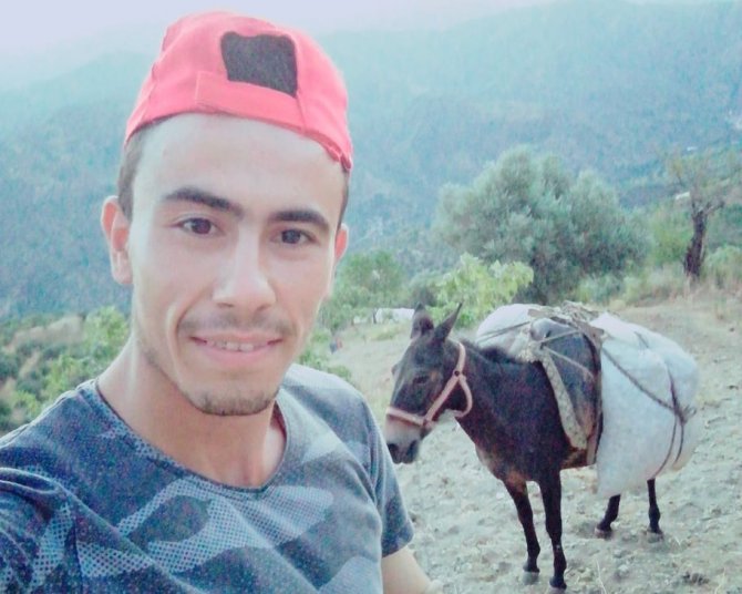 Aydın’ın Sarp Arazilerinde Üreticilerin En Büyük Yardımcısı Yük Hayvanları