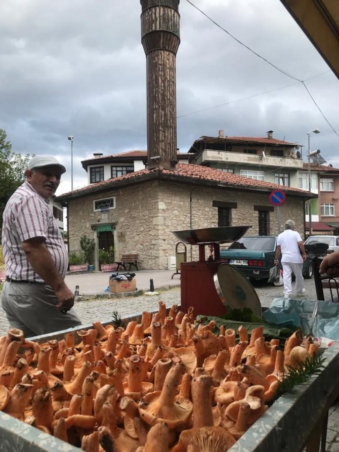 Kanlıca Mantarı Kilosu 100 Tl’den Pazardaki Yerini Aldı