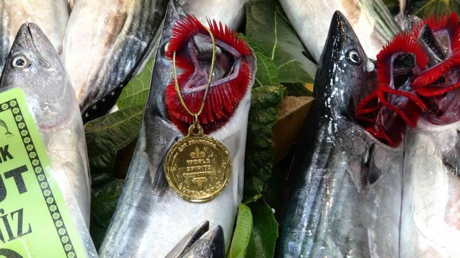 Çanakkale’de Palamudun Tanesi 50 Liraya Düştü