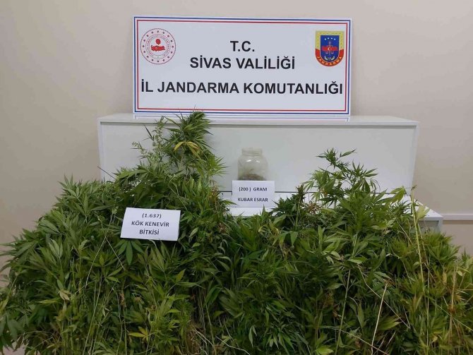 Valizinden 2 Kilo 300 Gram Kubar Esrar Çıktı
