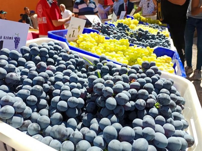 Coğrafi İşaretli Ürünler Yoğun İlgi Gördü