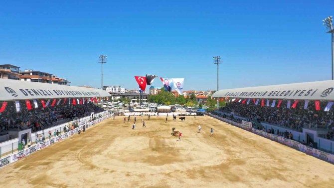 On Binlerce Denizlili Boğa Güreşinin Heyecanını Yaşadı