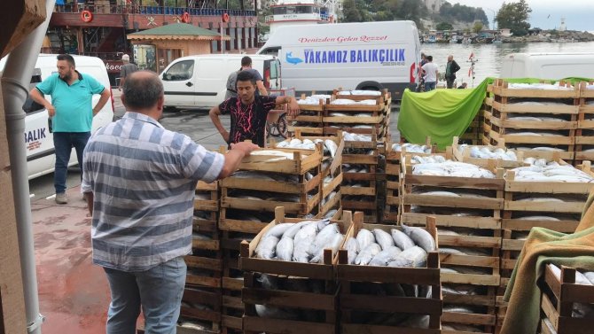 Karadeniz’de Tekneler Kasa Kasa Balıkla Dönüyor