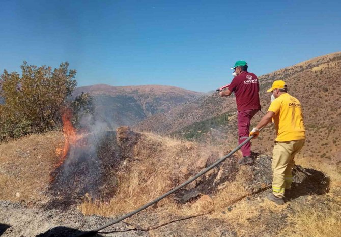 Elazığ’daki Orman Yangını Söndürüldü