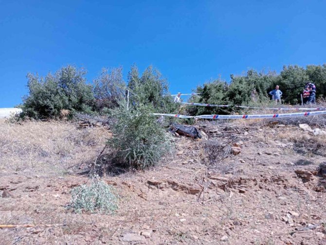 İ̇ncir Bahçesinde Traktör Devrildi: 1 Ölü