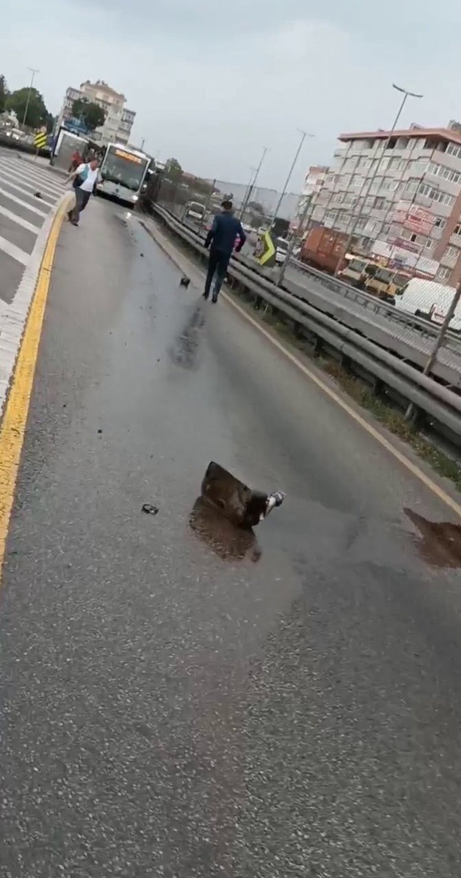 Küçükmece’de Metrobüs Yolunda İlginç Olay