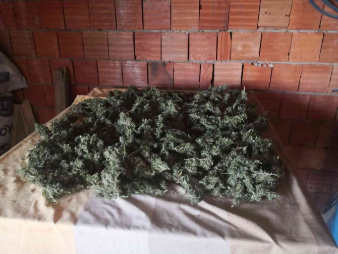 Bartın’da Uyuşturucu Operasyonu: 1 Gözaltı
