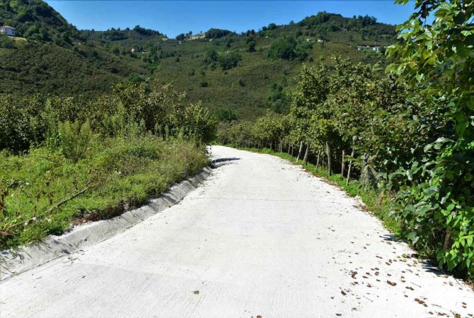 Altınordu’da Beton Yol Çalışmaları Sürüyor